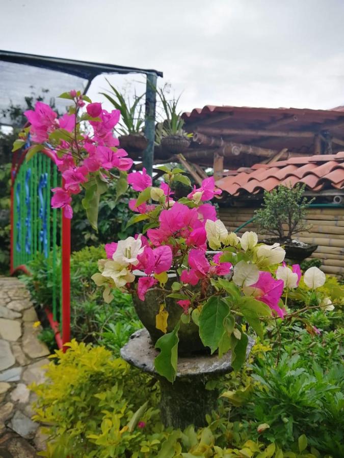 Hotel Salamina Highs Esterno foto
